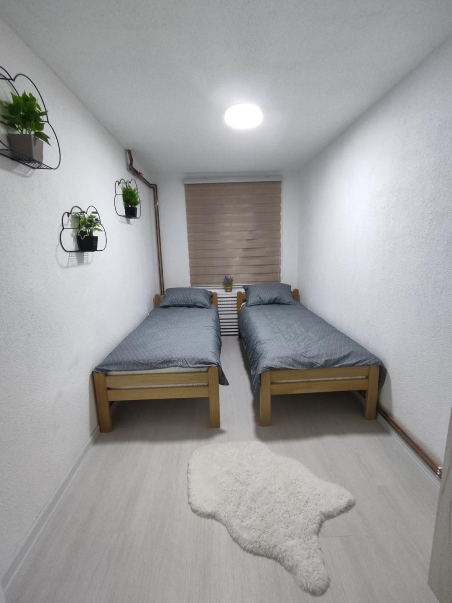 Ticina Apartment SJJ Esterno foto