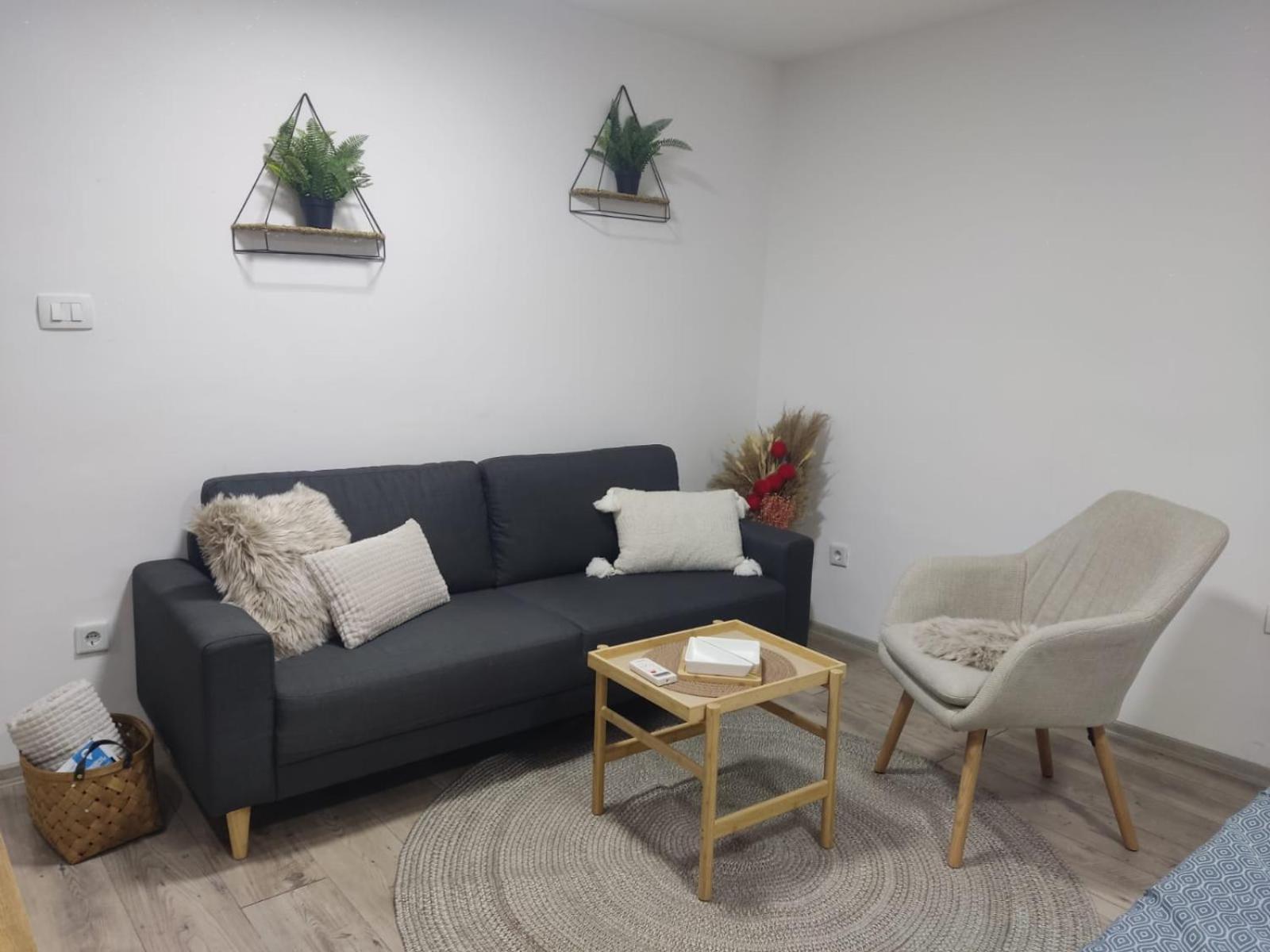 Ticina Apartment SJJ Esterno foto