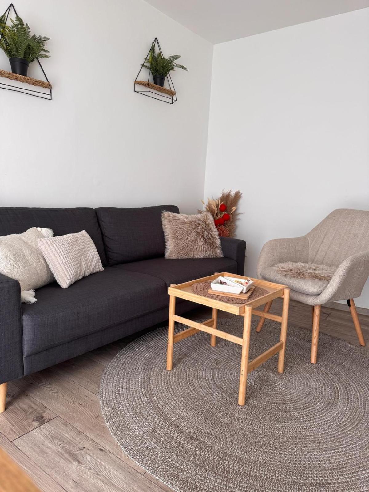 Ticina Apartment SJJ Esterno foto